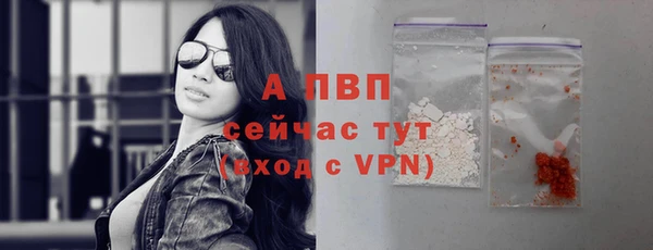 гидропоника Бородино
