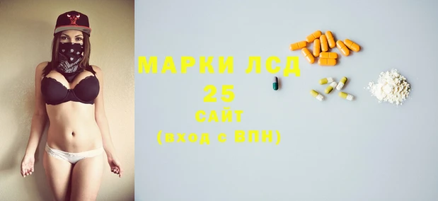 гидропоника Бородино