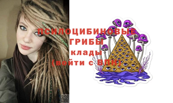 гидропоника Бородино