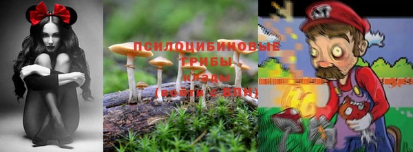 гидропоника Бородино