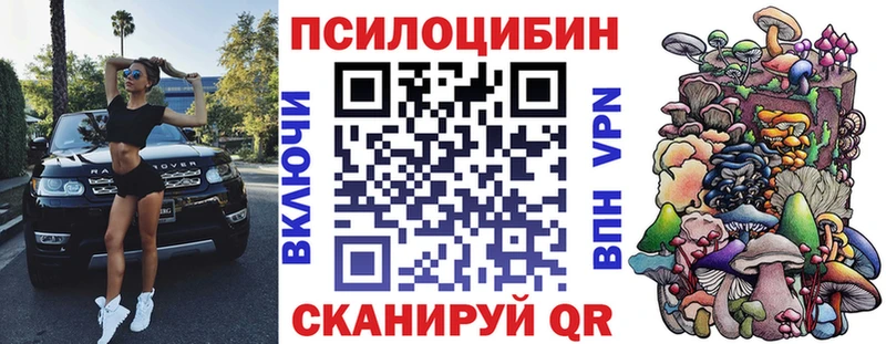 Галлюциногенные грибы Psilocybe  Бердск 